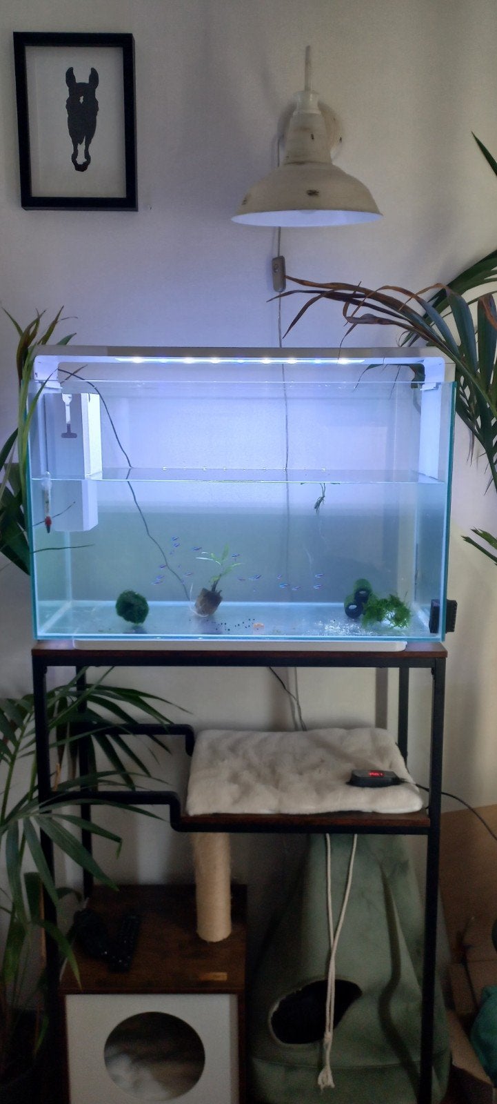 Home 110 super fish, Dieren en Toebehoren, Vissen | Aquaria en Toebehoren, Ophalen, Zo goed als nieuw, Leeg aquarium, Superfish