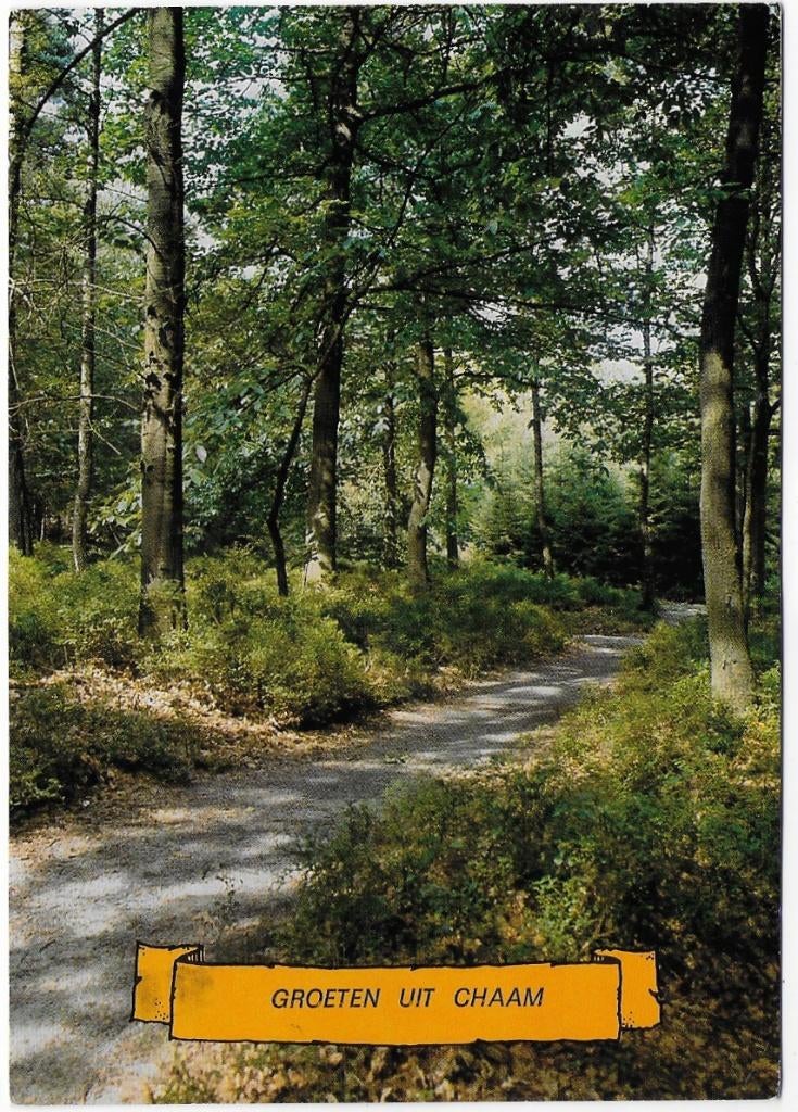 Chaam Gelopen Ansichtkaart ( B6028 ), Verzenden, 1980 tot heden, Gelopen