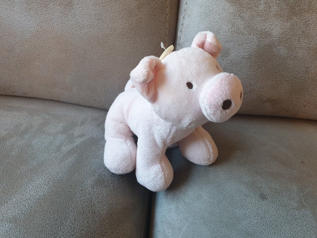 Knuffel - Varken Big 2, Ophalen of Verzenden, Gebruikt, Overige typen