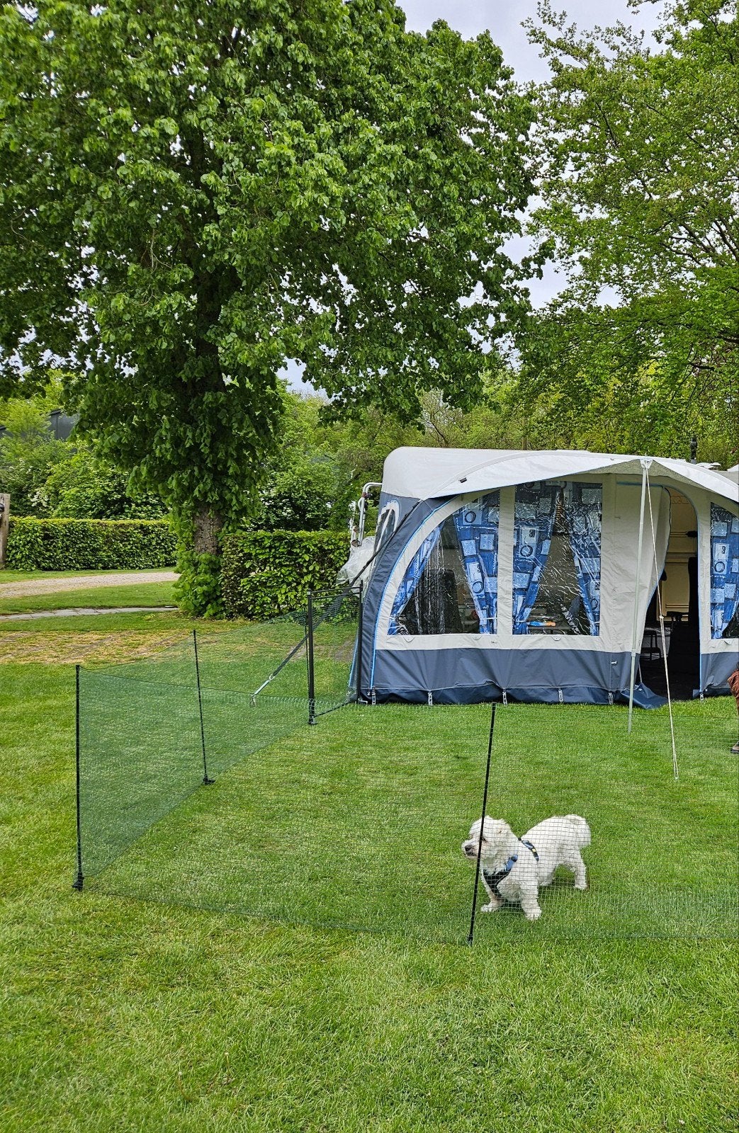 Draagbare omheining voor camping - 90 cm hoog, 20 m lang, Ophalen