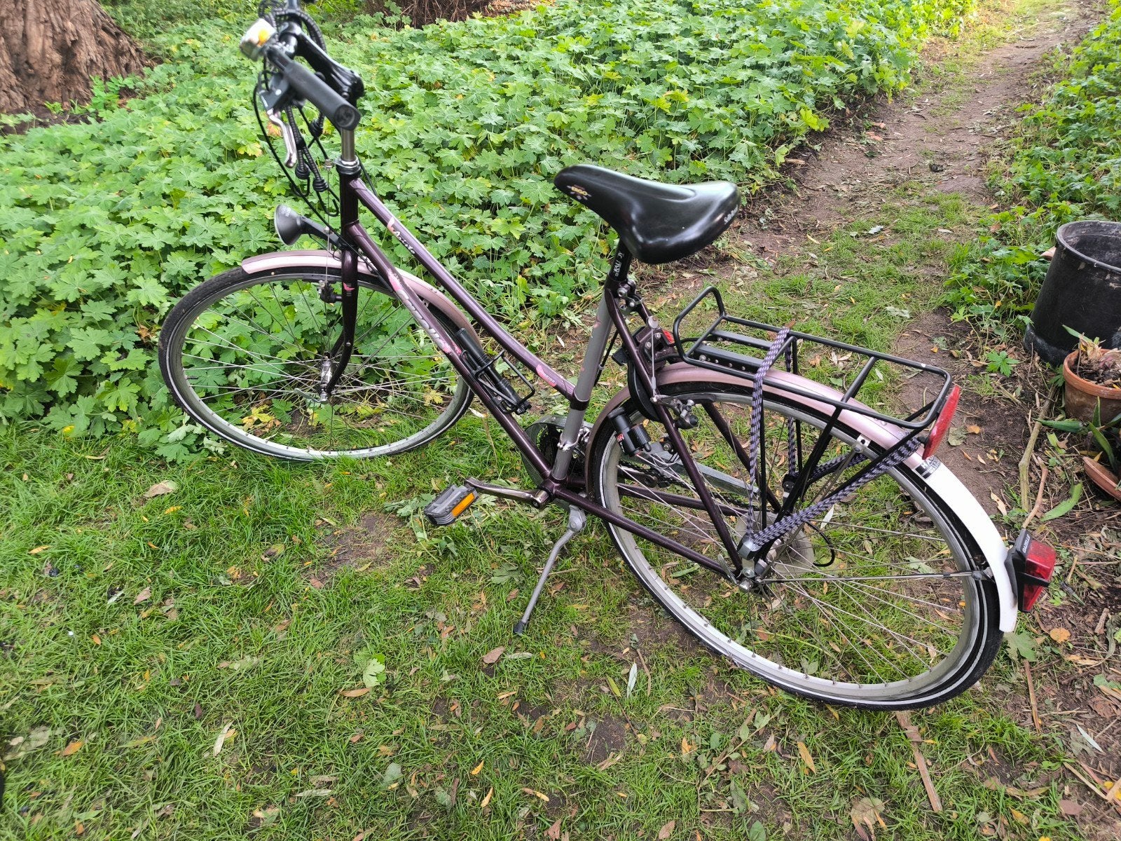 Gazelle Aristo Damesfiets - 21 Versnellingen, Fietsen en Brommers, Ophalen, Gebruikt, Gazelle, Versnellingen