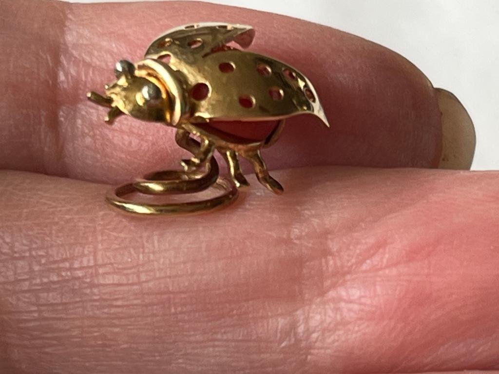 Vintage Bloedkoraal Vlieg Broche goud 585, Verzenden, Minder dan 4 cm, Zo goed als nieuw, Met edelsteen