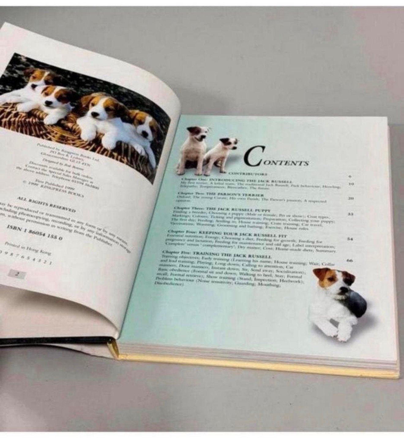 Ultimate Jack Russell Terrier by Mary Strom 1999, Hardcover, Boeken, Ophalen of Verzenden, Zo goed als nieuw, Honden