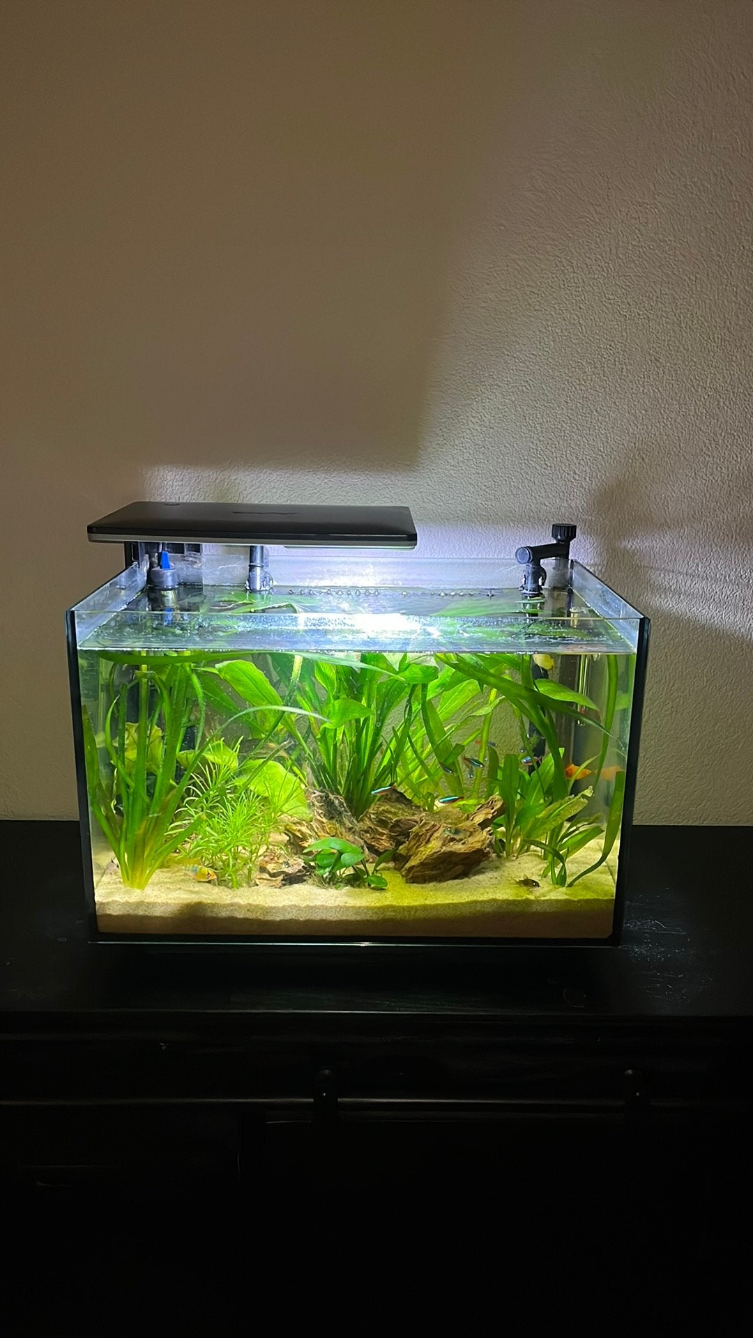 aquarium 60 liter, Dieren en Toebehoren, Vissen | Aquaria en Toebehoren, Ophalen, Zo goed als nieuw, Leeg aquarium