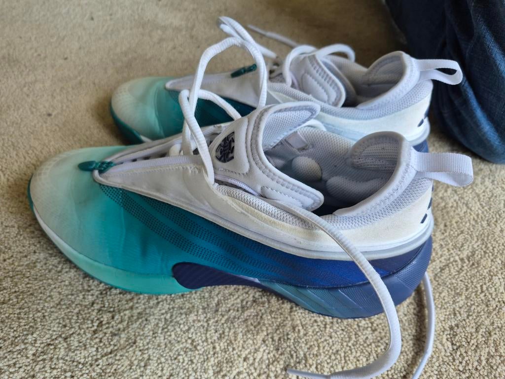 Twee zo goed als nieuwe Adidas basketbalschoenen, Ophalen, Zo goed als nieuw, Schoenen