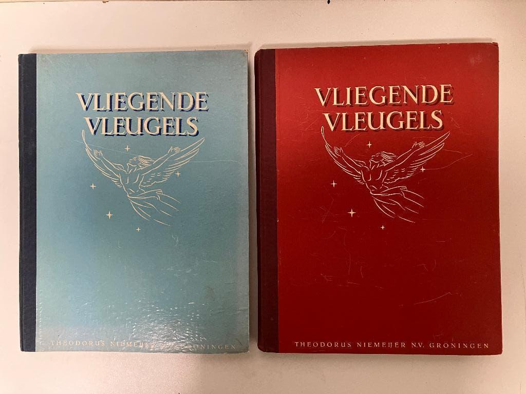 Vliegende Vleugels *, Boeken, Ophalen of Verzenden, Gelezen, C. van Steenderen, Plaatjesalbum