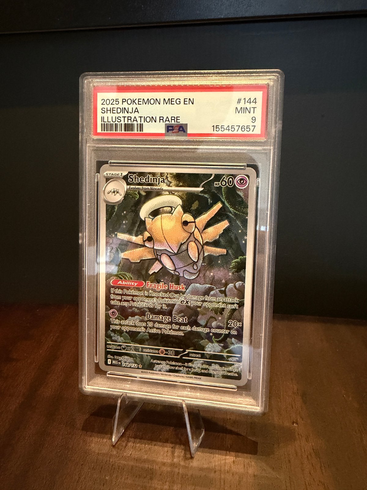 Shedina MEG144 - PSA9, Ophalen of Verzenden, Nieuw, Losse kaart