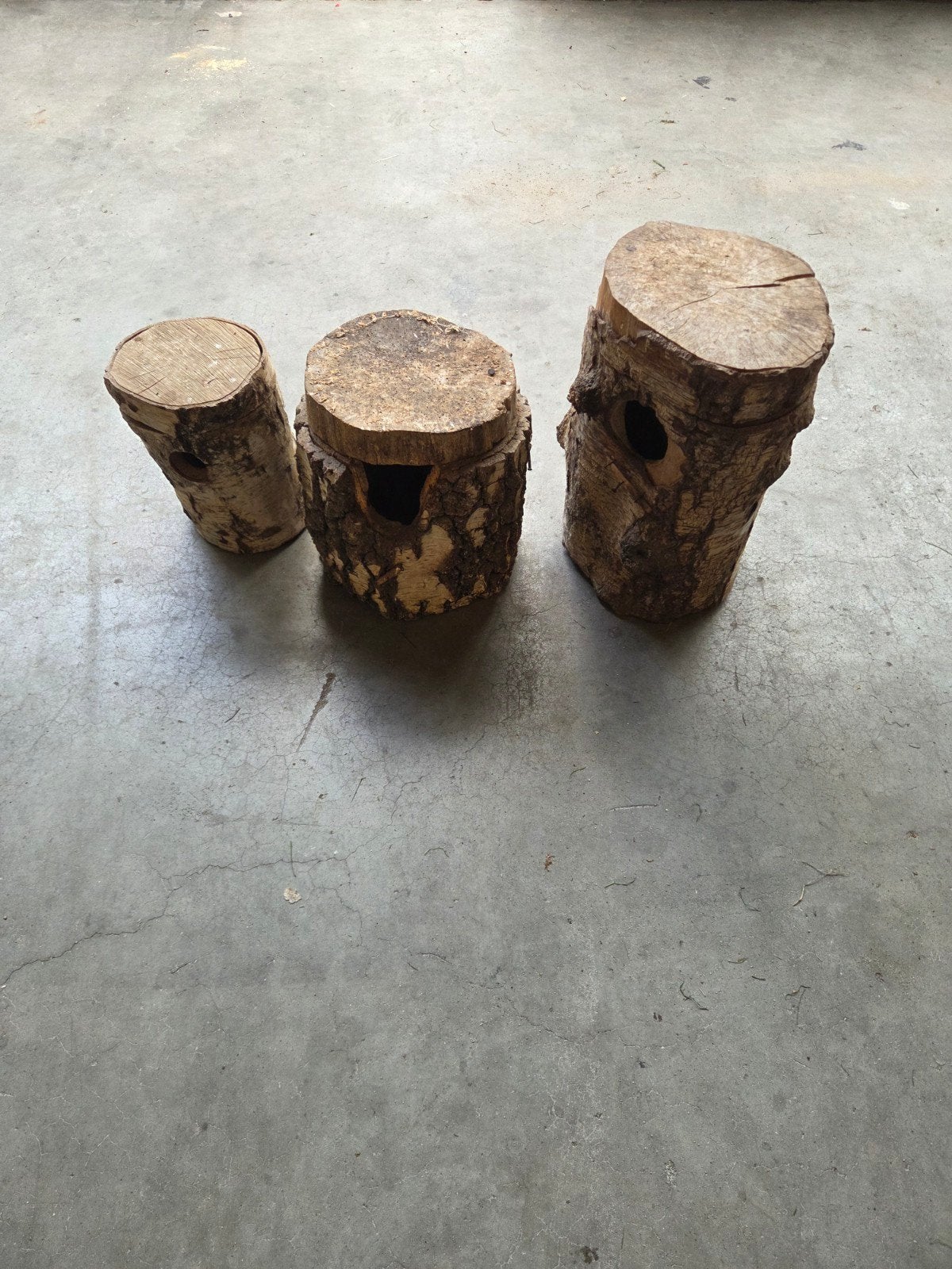 broodbakken/boomstam nestkast, Ophalen, Gebruikt, Hout, Broedkooi of Kweekkooi