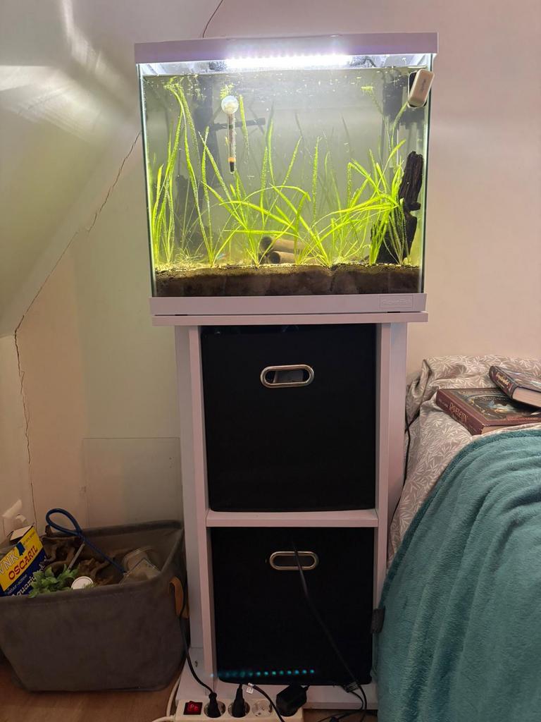 Aquarium Superfish Start 30 met meubel, Ophalen, Gebruikt, Inclusief vissen, Gevuld zoetwateraquarium