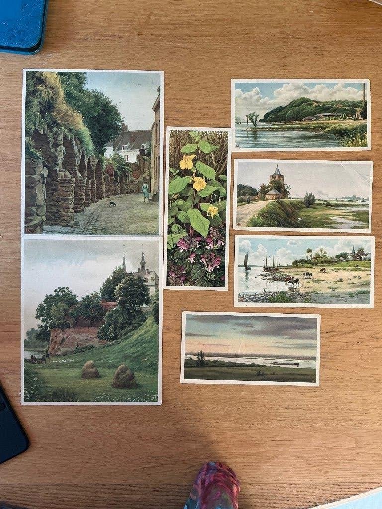 Plaatjes Verkade albums Jac.J.P.Thijsse, Ophalen of Verzenden, Gelezen