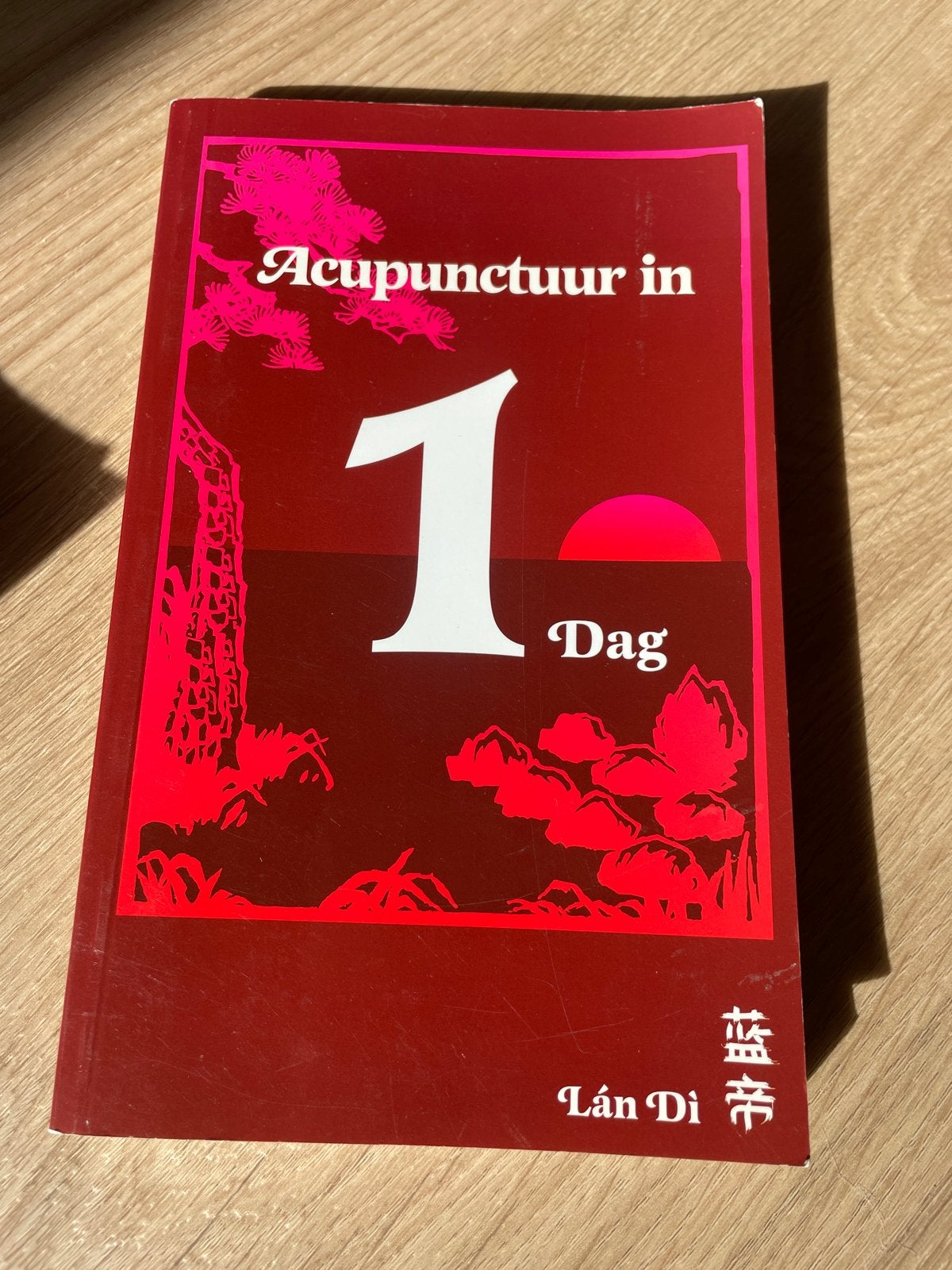 Acupunctuur in 1 Dag - Lán Dì, Ophalen of Verzenden, Zo goed als nieuw, Overige onderwerpen, Achtergrond en Informatie