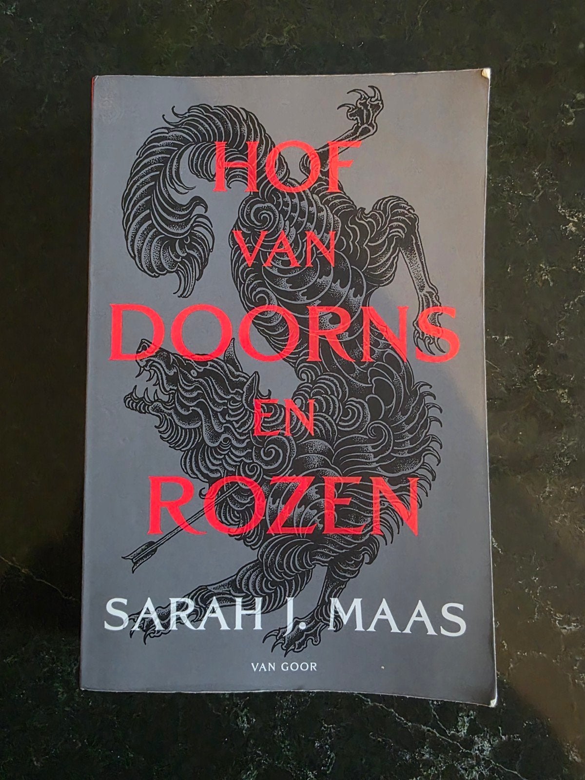 Hof van Doorns en Rozen - Sarah J. Maas, Boeken, Fantasy, Ophalen of Verzenden