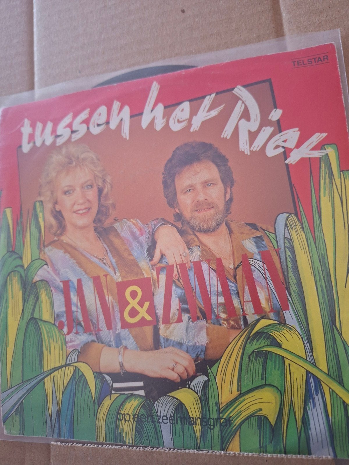 Jan en zwaan  tussen het riet, Cd's en Dvd's, Vinyl | Nederlandstalig, Ophalen of Verzenden, Zo goed als nieuw, Overige formaten