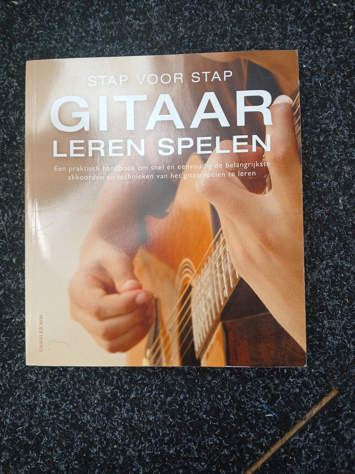 gitaar spelen voor beginners, Ophalen of Verzenden, Gelezen, Instrument
