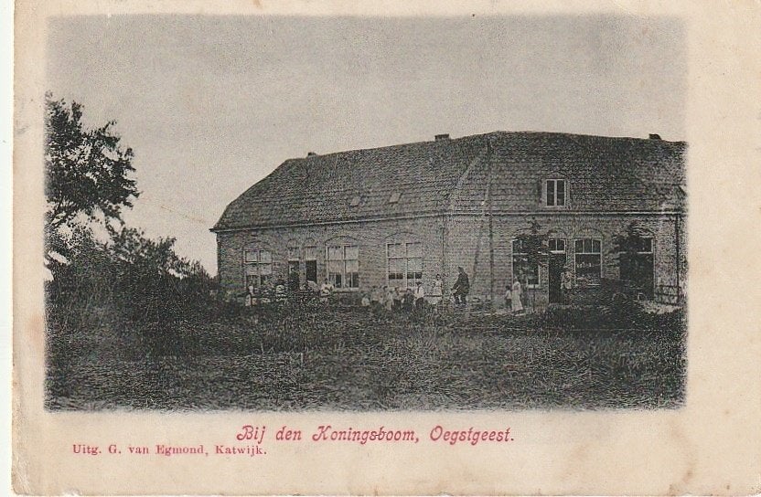 Oegstgeest Bij de Koningsboom Kempenaerstraat Terweeweg, Ophalen of Verzenden, Voor 1920, Ongelopen, Zuid-Holland