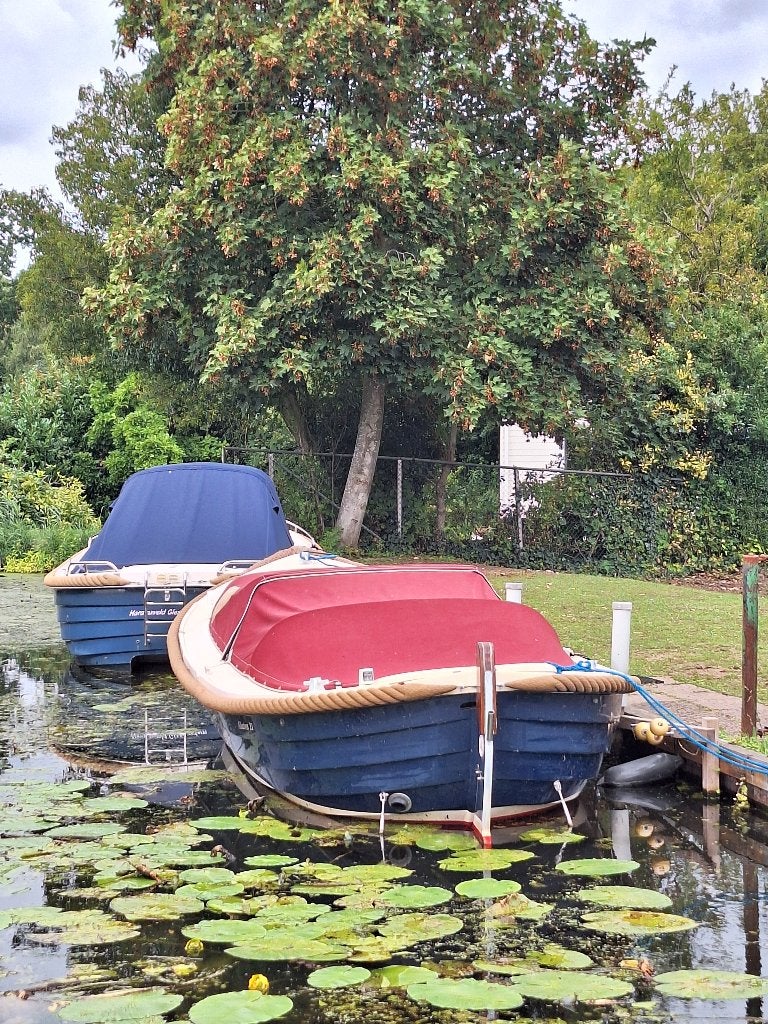 Albatros21, Overige merken, Binnenboordmotor, 42 pk, Diesel