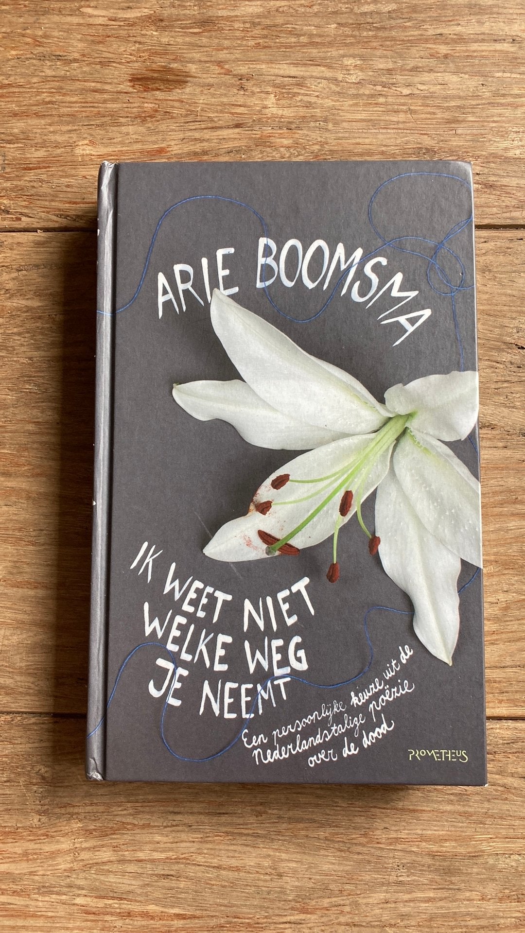 Arie Boomsma - Ik weet niet welke weg je neemt, Ophalen of Verzenden, Gelezen, Arie Boomsma
