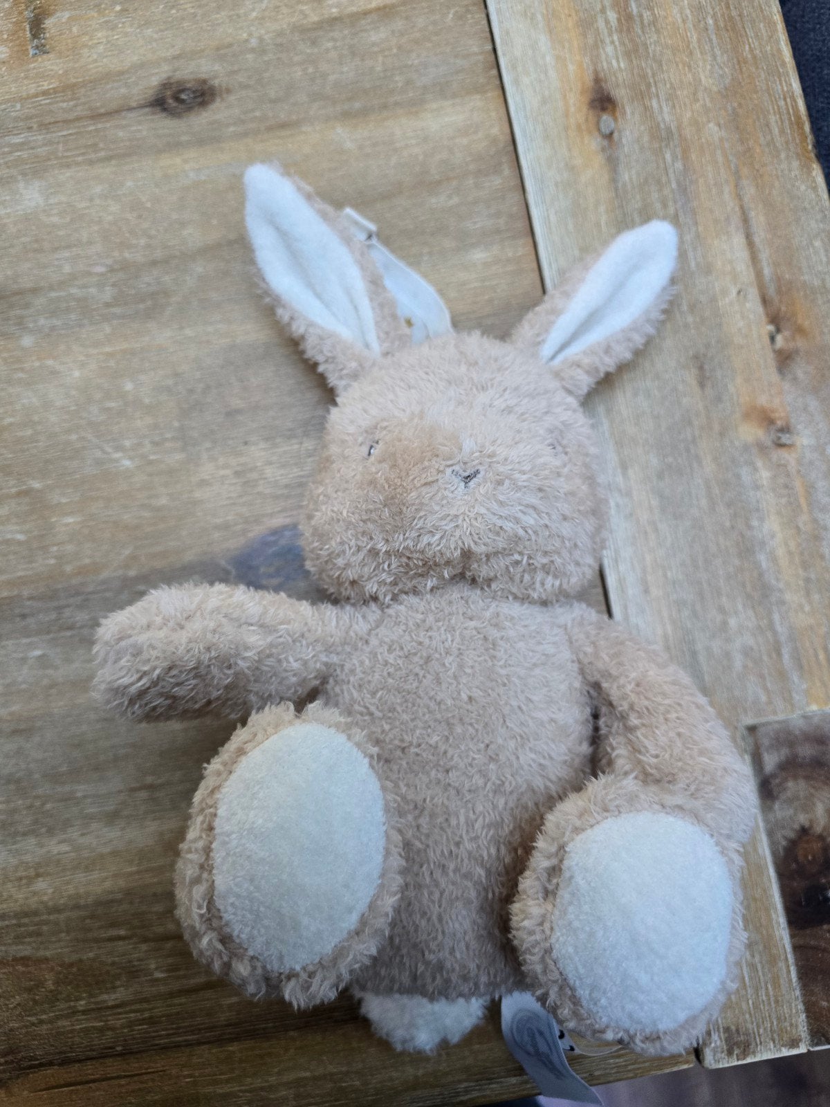 Little Dutch knuffel konijn met witte ruis en lampje, Ophalen, Little Dutch, Konijn, Zo goed als nieuw