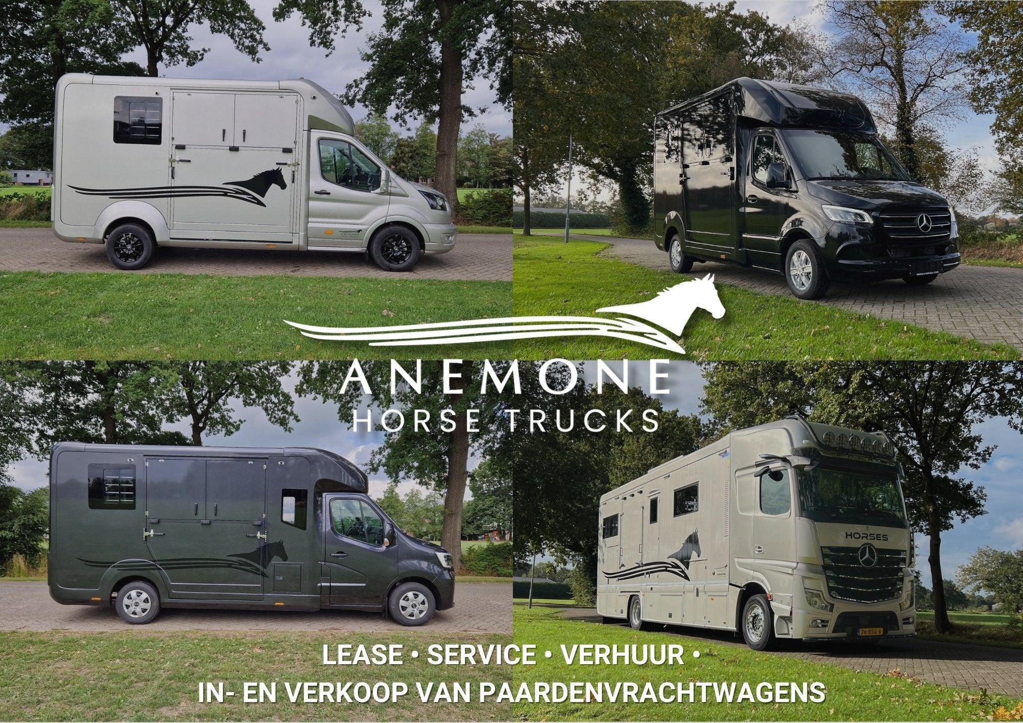 ! IN&VERKOOP PAARDENWAGEN-MARKTLEIDER IN HET PAARDENVERVOER!, Dieren en Toebehoren, Nieuw, Overige typen