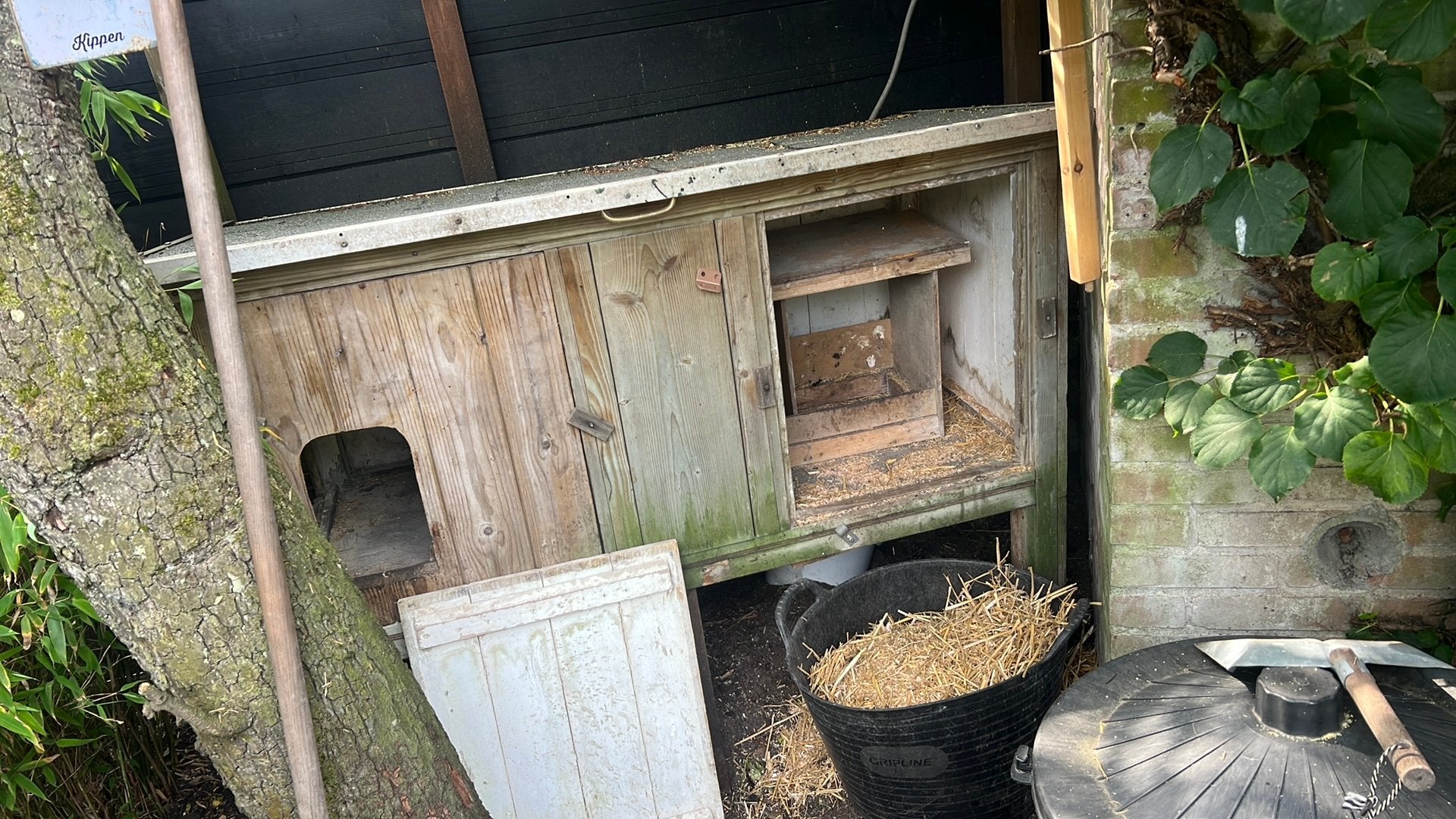Kippenhok, Dieren en Toebehoren, Knaagdieren en Konijnen | Hokken en Kooien, Ophalen, 90 cm of meer, Konijn, Hok
