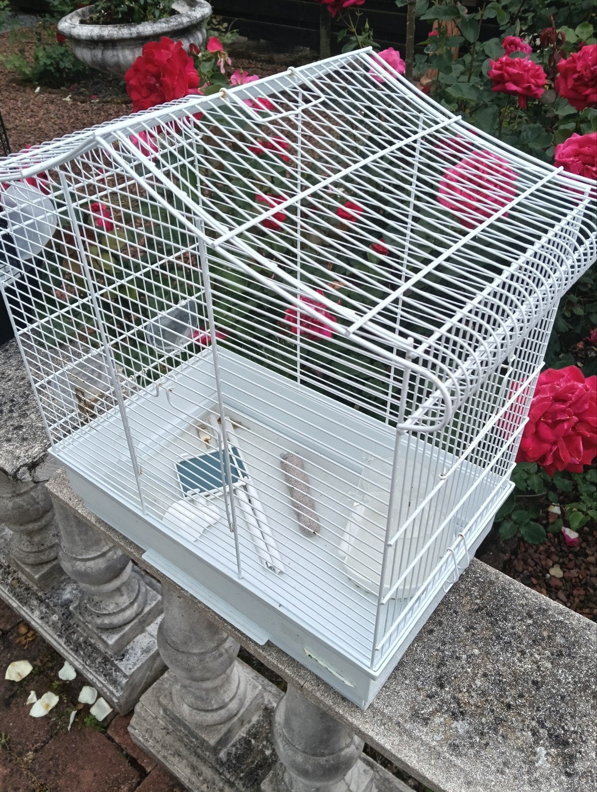 Vogelkooi, Ophalen, Minder dan 75 cm, Kooi, Minder dan 60 cm