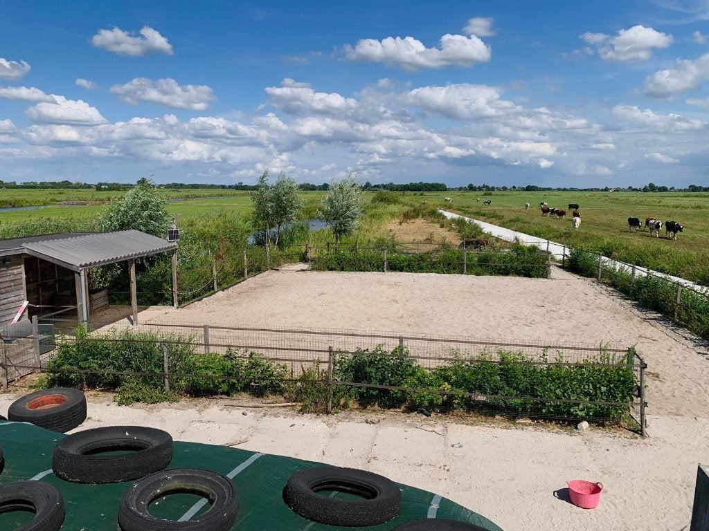ponyplek 24/7 buiten beschikbaar op groen paradijsje, Dieren en Toebehoren, Stalling en Weidegang, Weidegang, 1 paard of pony