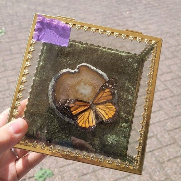 Lijstjes met vlinder op agaatplak of schors, Ophalen of Verzenden, Nieuw, Insect, Opgezet dier