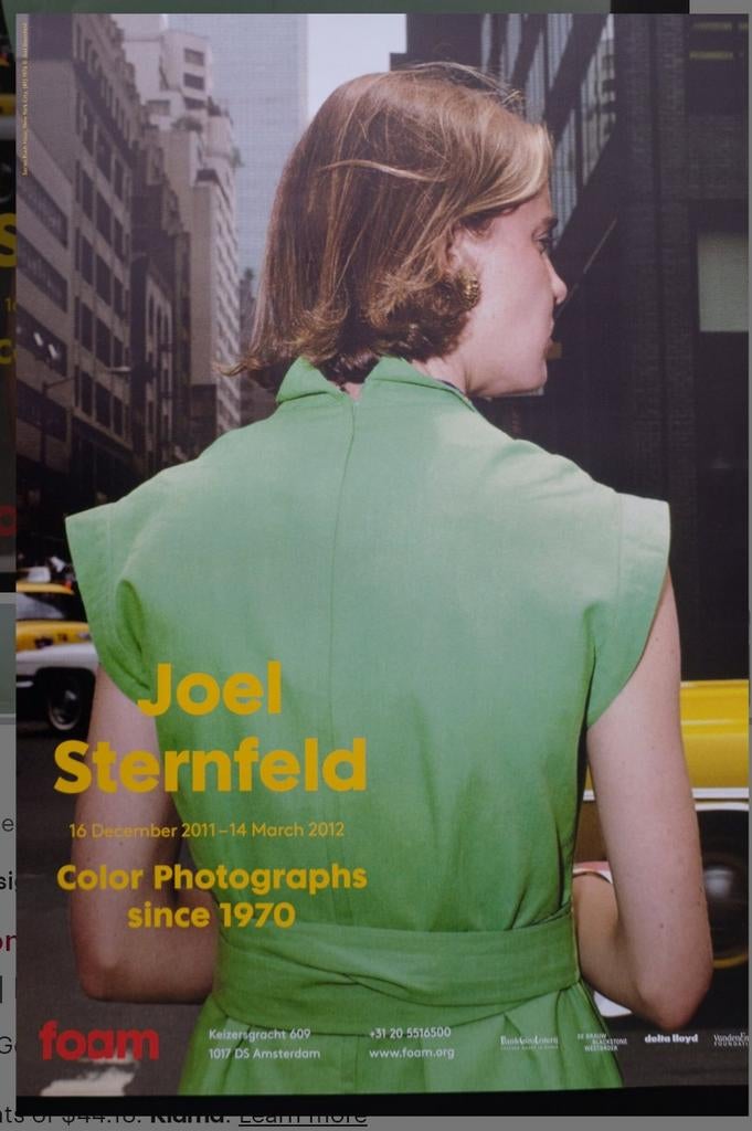 Joel Sternfeld Foam Photography Museum Amsterdam Affiche, Ophalen of Verzenden, Zo goed als nieuw, A1 t/m A3, Overige onderwerpen