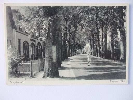 P310 Putten Veluwe - Dorpsstraat, Verzenden, 1940 tot 1960, Ongelopen, Gelderland
