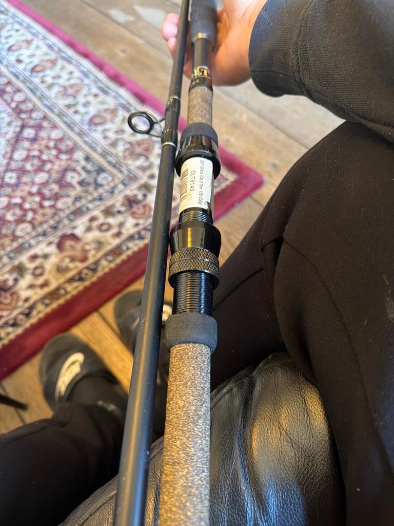DLT Grand Cat 2.70m 150-300gr meerval hengel, Ophalen of Verzenden, Gebruikt, Werphengel