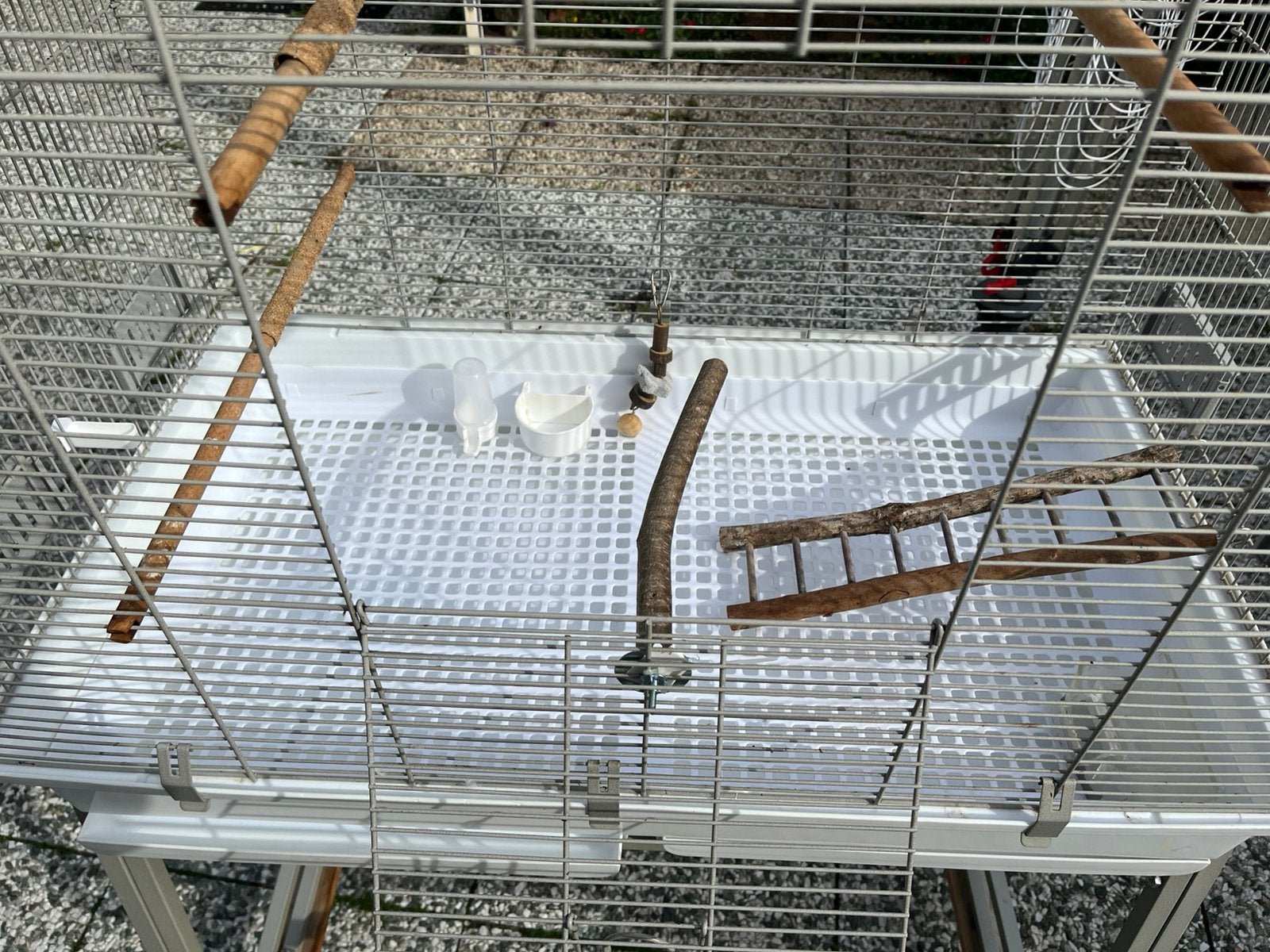 Grote mobiele vogelkooi, Meerdere dieren, Zangkanarie