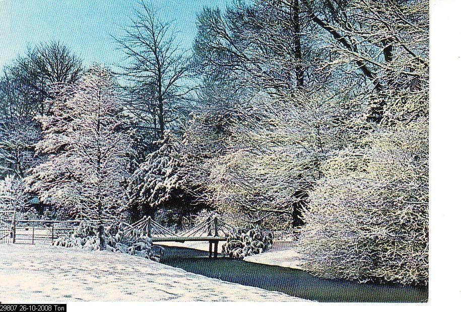 Ansichtkaart	Rotterdam	Trompenburg Arboretum	winter, Verzenden, 1980 tot heden, Ongelopen, Zuid-Holland