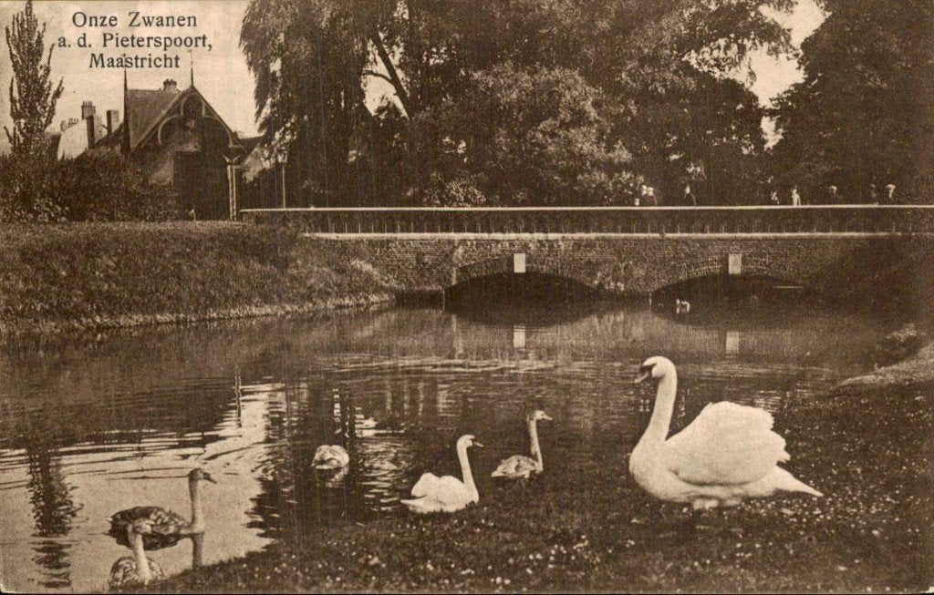 Maastricht - Zwanen - Pieterspoort, Ophalen of Verzenden, Voor 1920, Ongelopen, Limburg