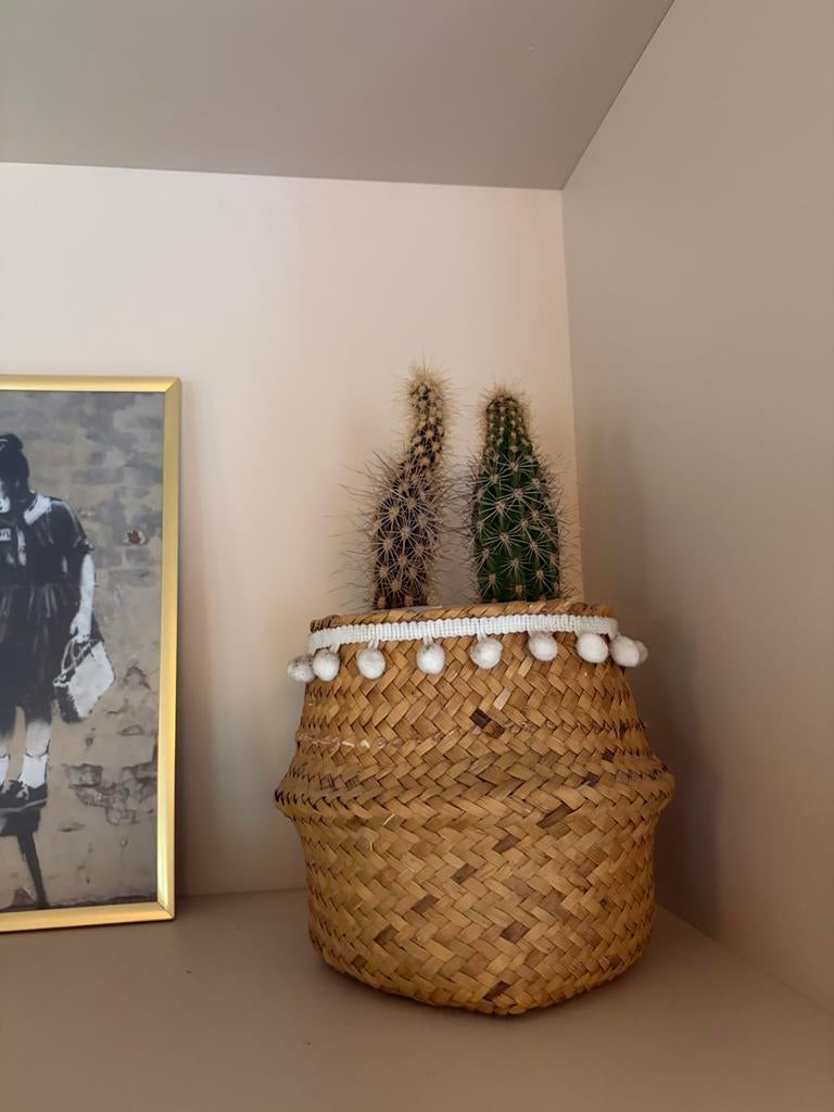Mandje met cactus, Ophalen, Zo goed als nieuw, Overige kleuren, Glas