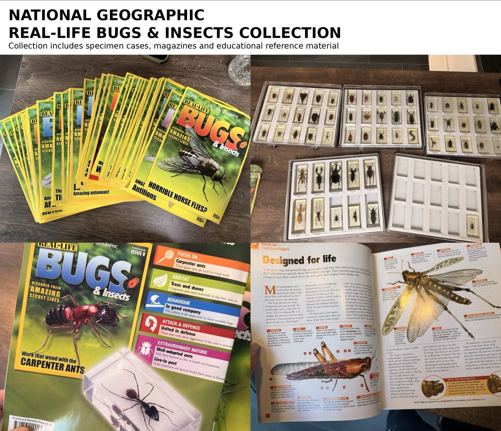 National Geographic Real-Life Bugs & Insects - Nummers 1-67, Ophalen of Verzenden, Zo goed als nieuw, Overige onderwerpen