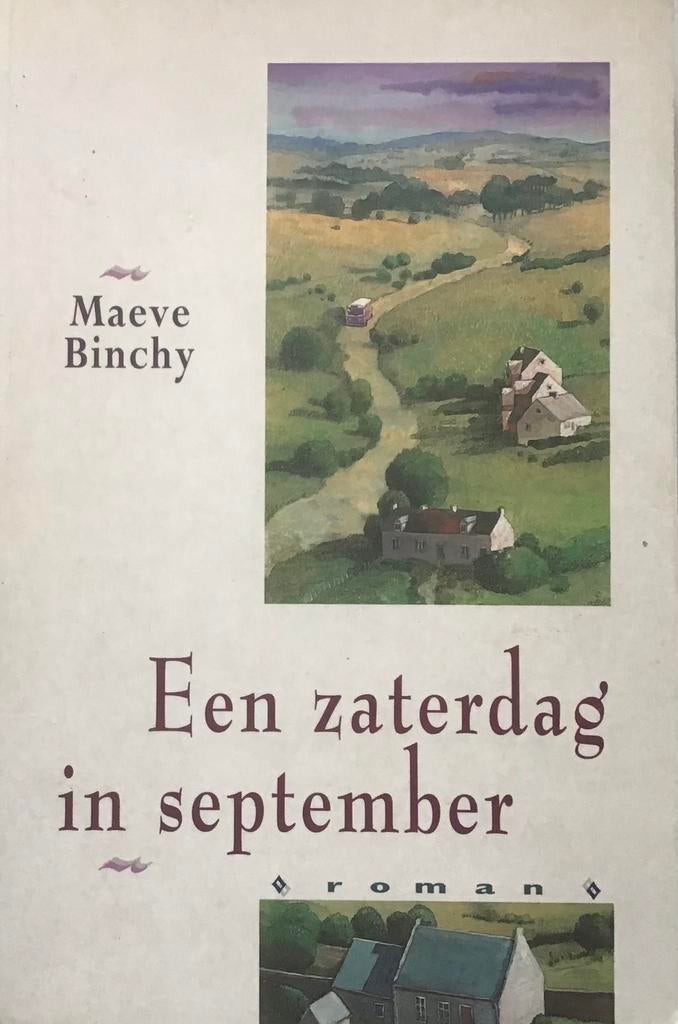 Maeve Binchy - Iers Platteland Verhalen, Ophalen of Verzenden, Zo goed als nieuw