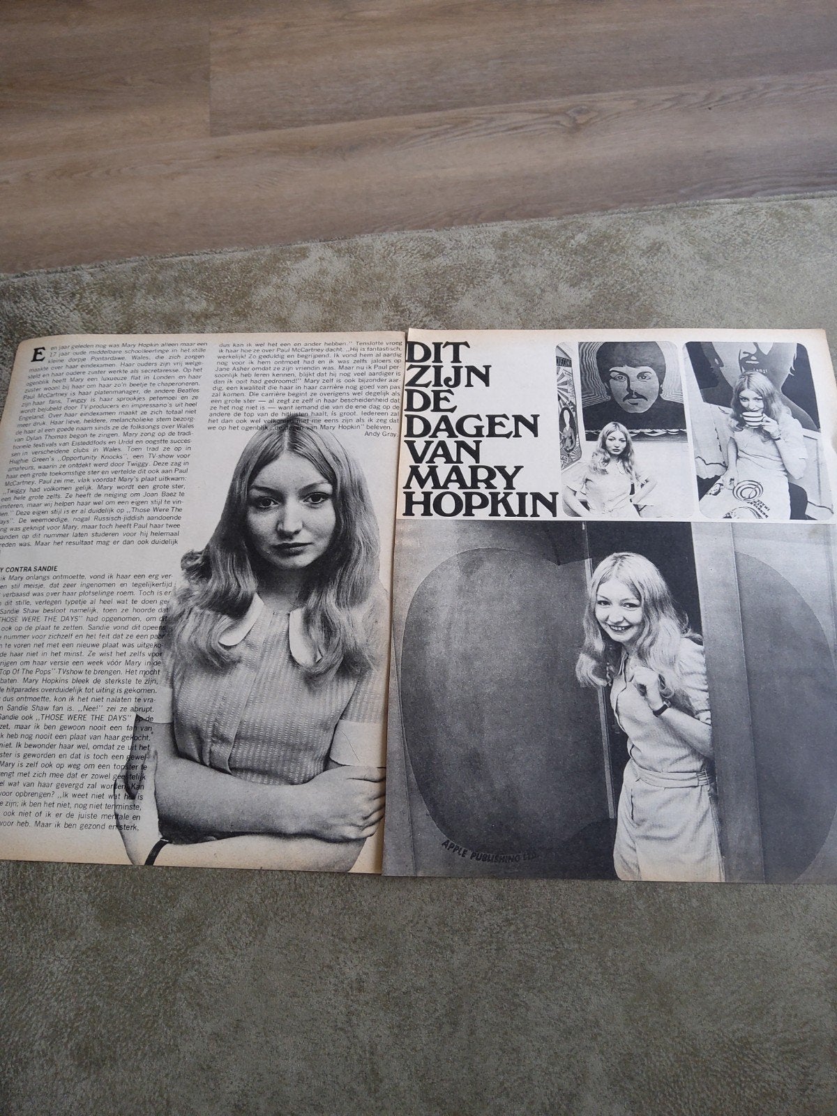 mary Hopkin:   muziek expres, Ophalen of Verzenden, Boek, Tijdschrift of Artikel