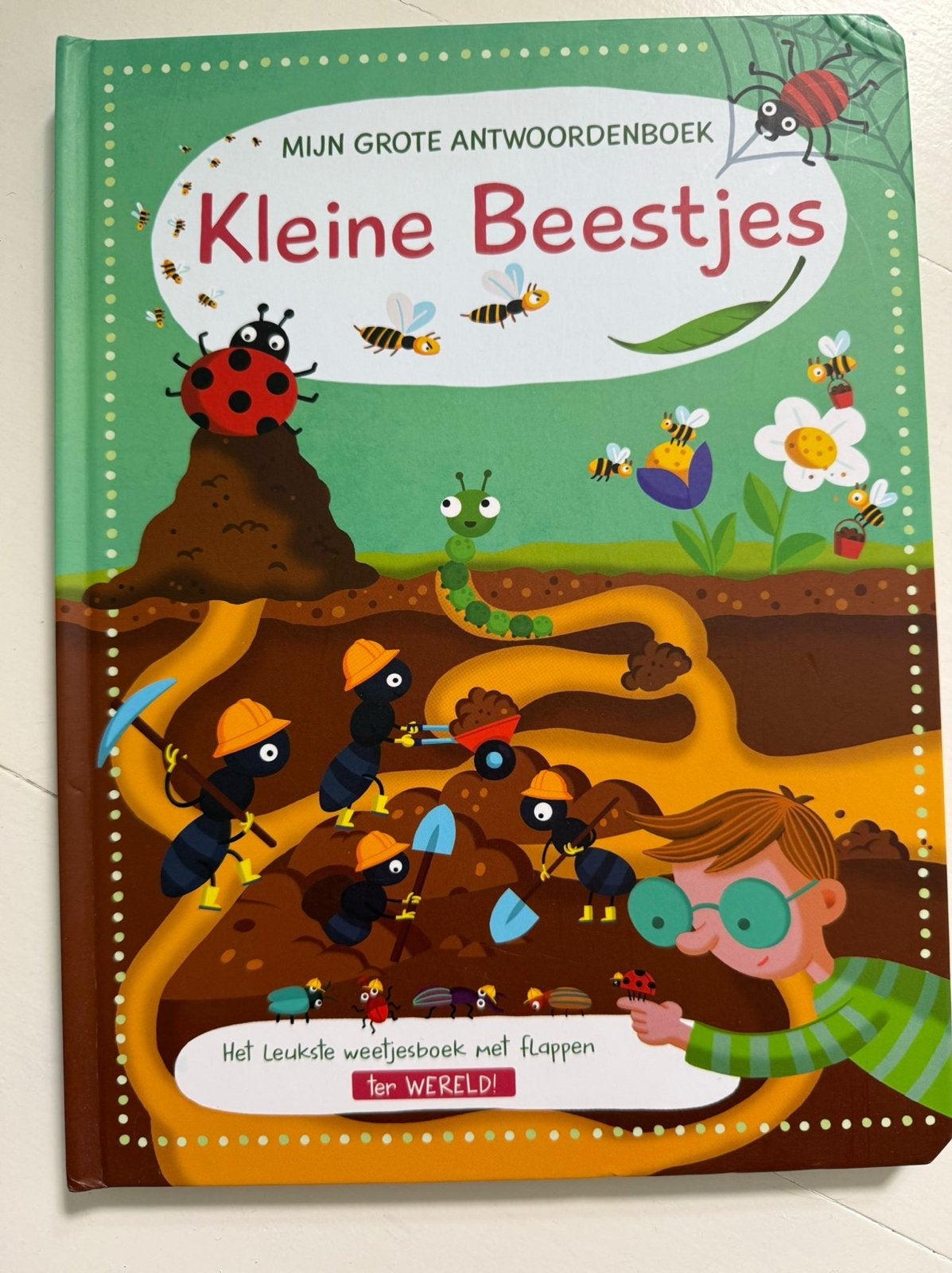 Mijn Grote Antwoordenboek: Kleine Beestjes, Ophalen of Verzenden, Zo goed als nieuw, Uitklap-, Voel- of Ontdekboek, 2 tot 3 jaar