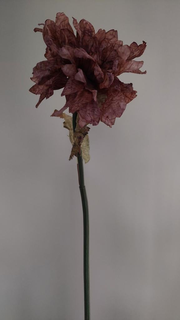 Zijdenbloem roze/bruin - Realistische decoratie, Huis en Inrichting, Woonaccessoires | Kunstplanten en Kunstbloemen, Ophalen, Binnen