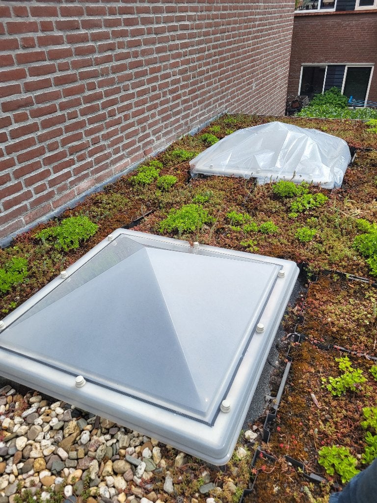 Piramide lichtkoepel opaal 1x1m 3-wandig (Nieuw), Ophalen, Dubbelglas, 80 tot 120 cm, Nieuw