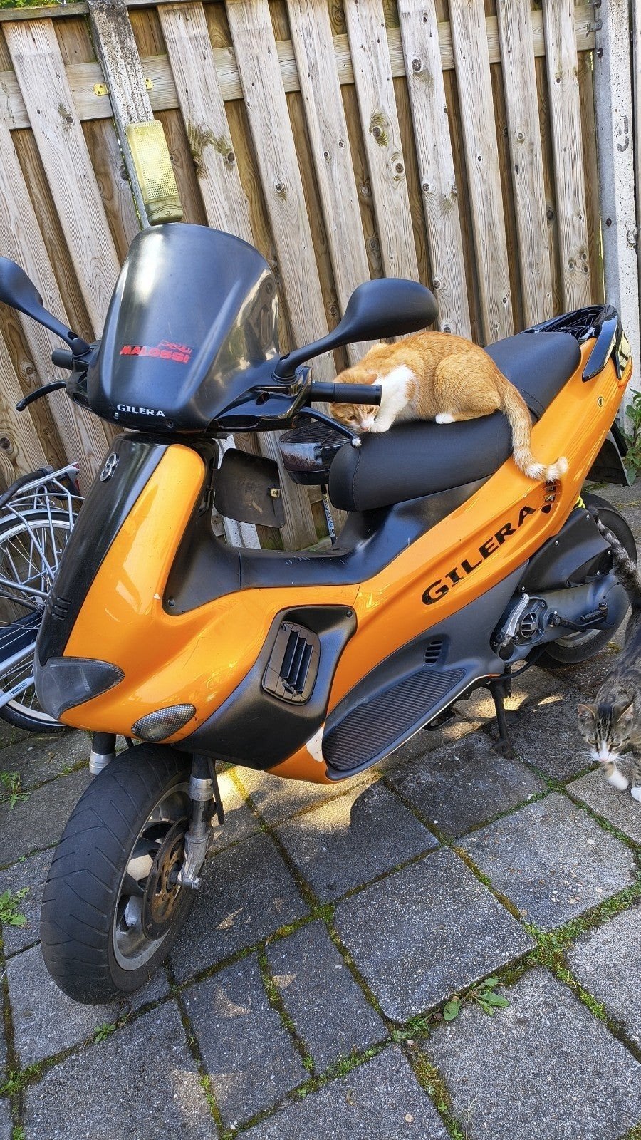 Gilera Runner 50cc uit 1997 - Motor gereviseerd, Ophalen of Verzenden, Gebruikt