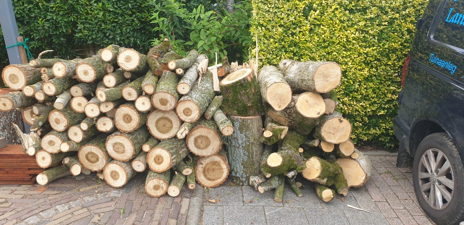 ruim 1.5 haardhout, Minder dan 3 m³, Ophalen, Stammen