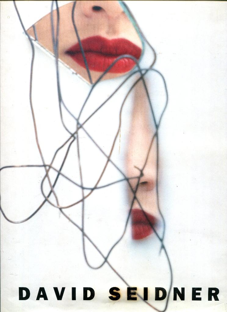 David Seidner — Patrick Mauriès (1989), Boeken, Kunst en Cultuur | Fotografie en Design, Gelezen, Fotografie algemeen, Verzenden