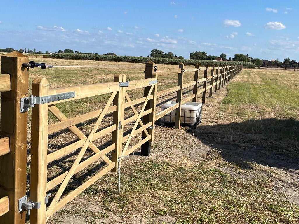 Weide te huur, Dieren en Toebehoren, 2 of 3 paarden of pony's