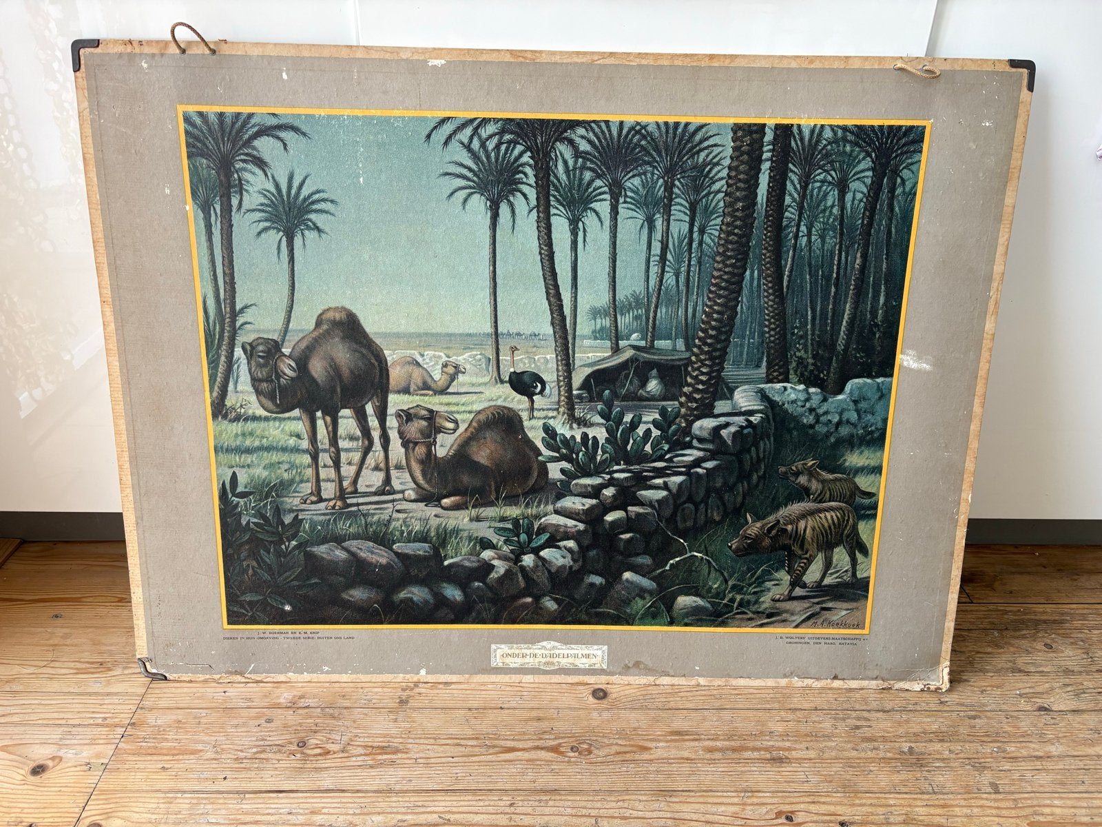Vintage Schoolplaat: Dieren in de Woestijn, Antiek en Kunst, Antiek | Schoolplaten, Ophalen of Verzenden, Natuur en Biologie