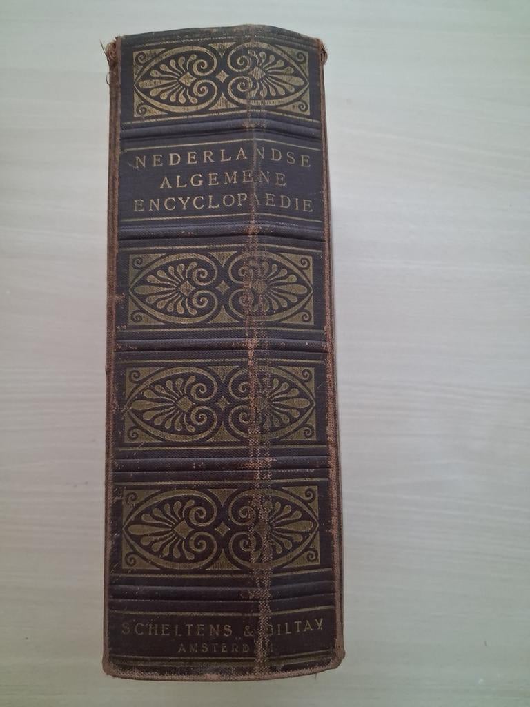 Nederlandse Algemene Encyclopaedie, Boeken, Encyclopedieën, Ophalen of Verzenden, Gelezen, Overige onderwerpen