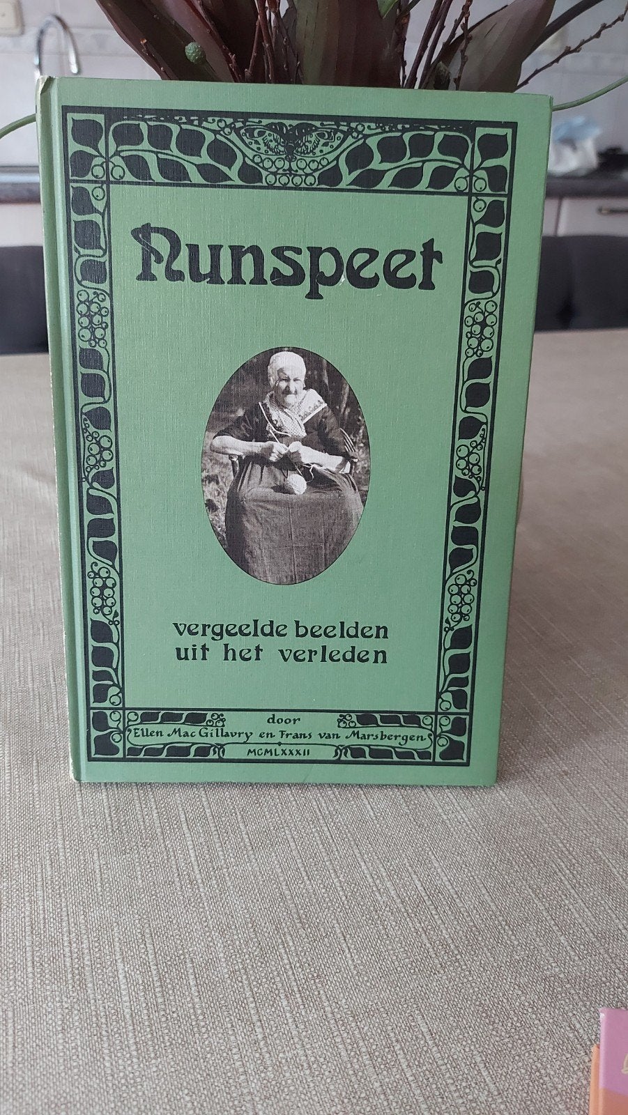 Nunspeet: Vergeelde beelden uit het verleden, Ophalen of Verzenden, 20e eeuw of later, Gelezen, Ellen Mac Gillavry en Frans van Marsbergen