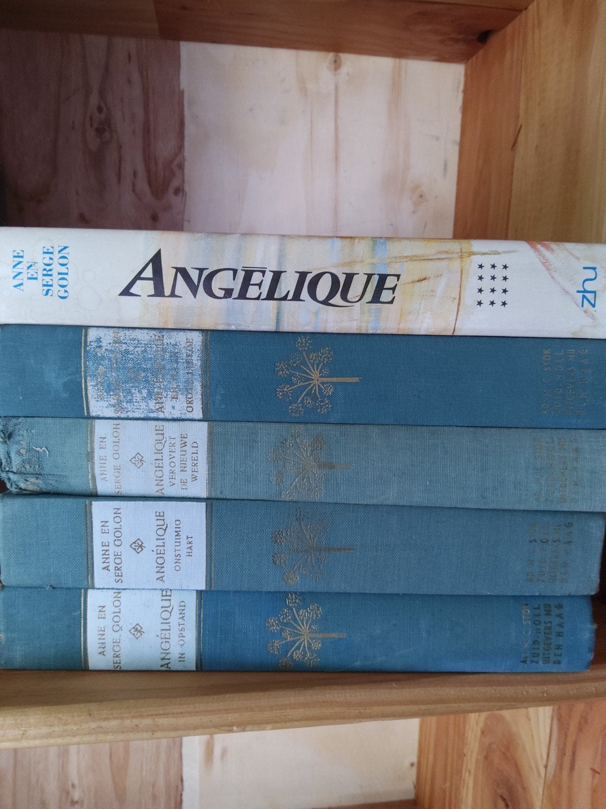 Angelique serie - Anne en Serge Golon - 5 boeken, Ophalen of Verzenden, Gelezen, Anne en serge golon, Nederland