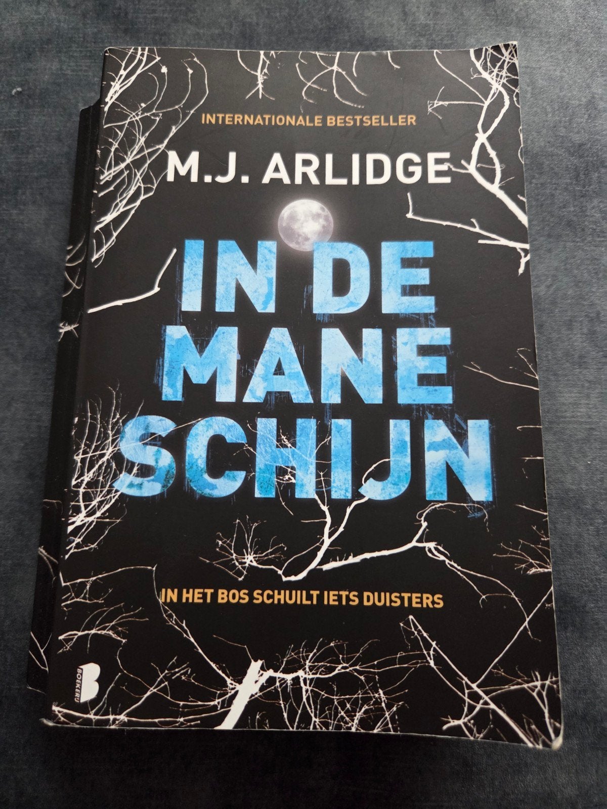 M.J. Arlidge - In de maneschijn, Boeken, Ophalen, Zo goed als nieuw, M.J. Arlidge