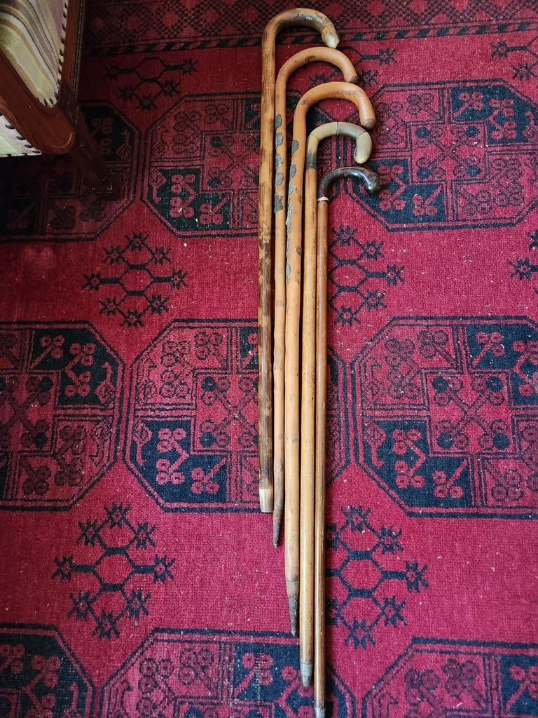 Set van 5 Vintage Wandelstokken - incl. stok met 11 Stocknag, Ophalen of Verzenden